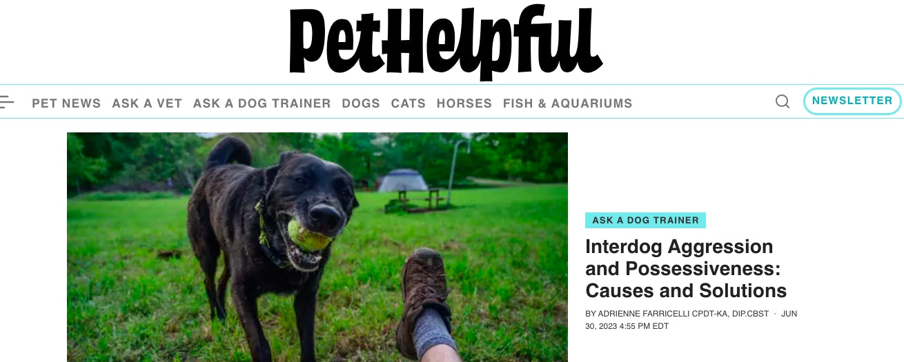 Article for Pet Helpful